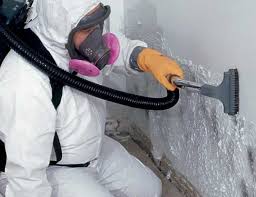 Trusted West Ishpeming, MI Mold Inspection Experts